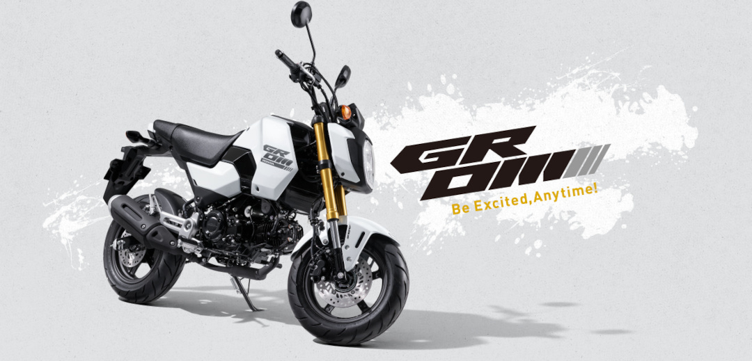 2024 Model GROM