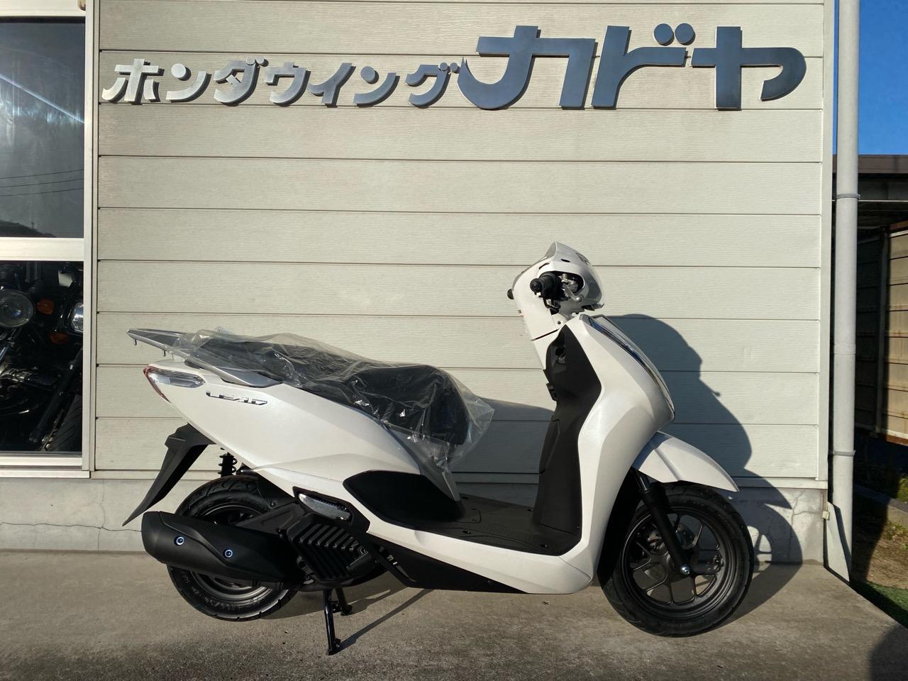 2025年モデル リード125